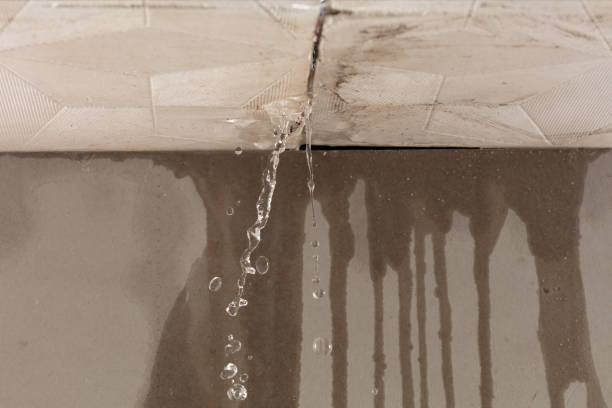 Professional Water Damage Repair technician working in Wake Forest, NC